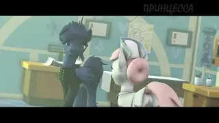[SFM\PONY\MEME] My little pony - Беда с башкой animation