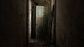 The door | roblox