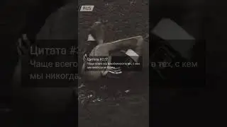 Цитаты 