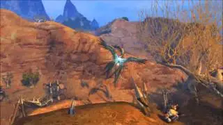 The wonderful world of Aion !