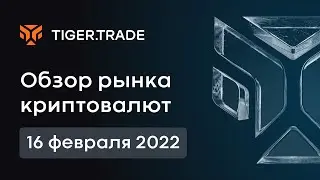 Обзор рынка криптовалют 16.02.2022