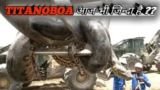 क्या होता अगर आज भी जिन्दा होता Titanoboa | What if Titanoboa didn't go extinct in Hindi