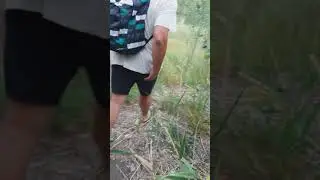 poltergeist полтергейст