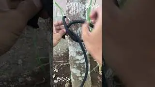 Incredible Clove Hitch Knots  #knotskill #knot #knottutorial
