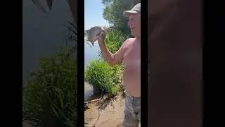 парк братеевская пойма рыбалка