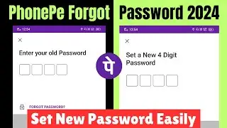 Phonepe Ka Login Password Bhul Jane Par Kya Kare 2024 | Phonepe Password Forgot 2024