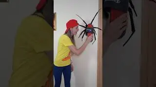 OMG Super Giant SPIDER 🕷️🕸️ in room  
