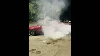 Бернаут Laurel 33
