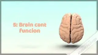 Top 10 Reasons School Sucks