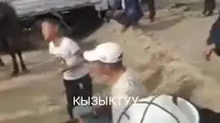 Мындай үндү укпагансыз. Кытайлык кыргыз баланын мукамдуу ыры