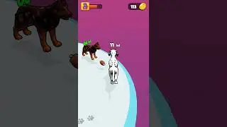 Dog Evolution Run