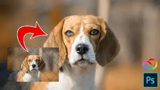 How to use New fill and remove feature in Photoshop 2023 beta