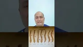 Умуртка муаммолари, диск чурраси, менисклар зарарланиш сабаблари