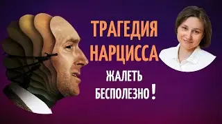 ТРАГЕДИЯ НАРЦИССА. Отношения с нарциссом.