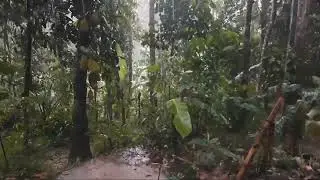 Suara Alam saat hujan menenangkan 18 Juli 2022