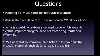 HESI A2 Exam: Muscular System