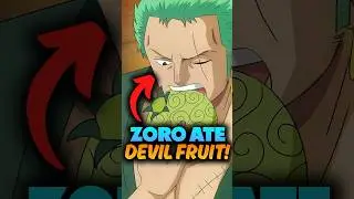 Top 3 Best Devil fruits for Zoro! One Piece Explained 
