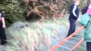 Josh and kayne the ladder climbers
