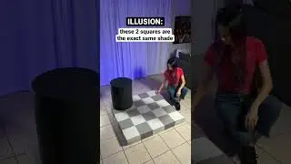 The checker shadow illusion will blow your mind