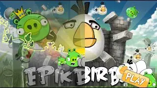 Epik Birbs - BY 