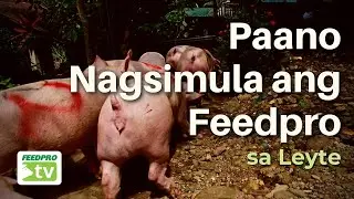 Paano Nagsimula ang Feedpro sa Leyte