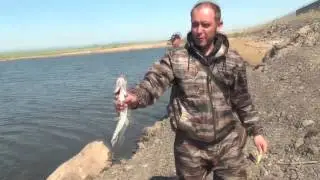 Рыбалка на щуку весной
