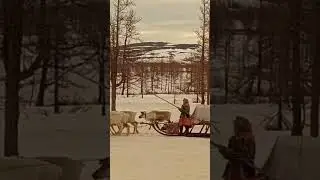 Аргиш оленеводов / Каслание 
