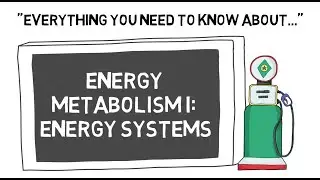 Energy Metabolism I Energy Systems | Sport Science Hub: Physiology Fundamentals | Music Version