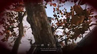 Respect the revive