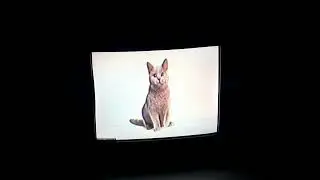 [Funkdela Catalogue Vol 2] Reunion TEASER