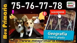 Geografía, 4, pag, 75,76,77,78, importancia, suelo, actividades que dañan, recursos vivos, naturales