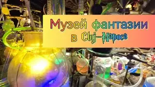 Музей фантазии и steampank в Cluj-Napoca