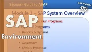 SAP ABAP Training - SAP Environment For Our ABAP Programs