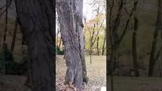 Осень - время для лирических фото с любимыми продуктами:)