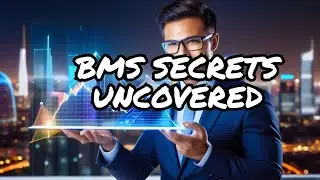 The 2024 Guide to Mastering BMS & DOMINATING the Market!