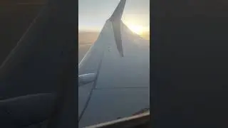 Афоризм дня. 