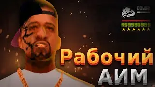 Установка чит на AIM | Авто наводка на стрельбу | Рабочий аим 2021 //  SAMP MOBILE | SAMP