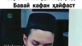 Саре ки сачда надорад кафан бавай хайфаст
