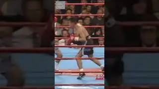 SoyNica "Quinto Round Intenso: Erik Morales y Marco Antonio Barrera en un Intercambio Feroz" #boxing