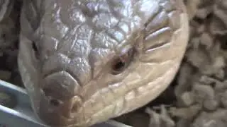 that dude look like b
