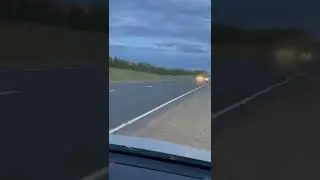 лось против автомобиля