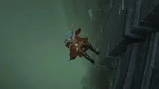 TIGER UPPERCUT