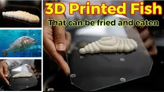 3D Printed Fish that can be Fried and Eaten | تھری ڈی پرنٹر سے تیار مچھلی