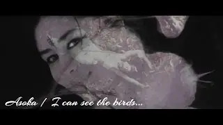 Aśokā • I can see the birds...
