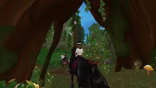 Unlocking Wild Woods + Quests