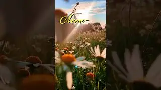 #доброеутро