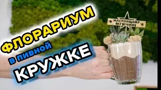 Флорариум в пивной кружке | Необычный подарок для мужчины своими руками