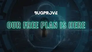 BugProve Intro Video - What does our Product do?