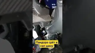 хавал 2022 года не заводится, блок сигнализации даёт не верный сигнал в кан