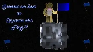 SECRETS ON HOW TO CAPTURE THE FLAG!?
